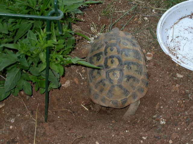 DSCN5963.jpg