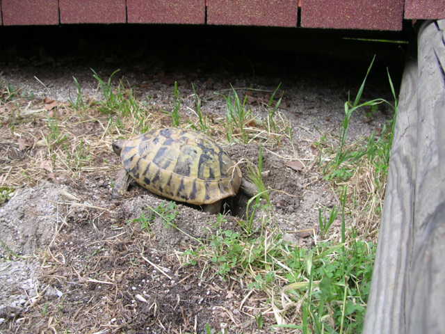 DSCN1559.JPG
