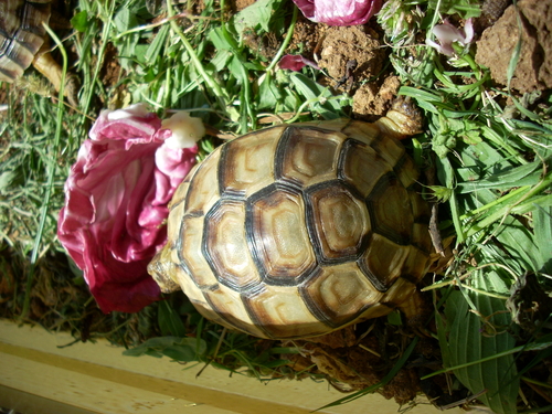 DSCN3401.JPG