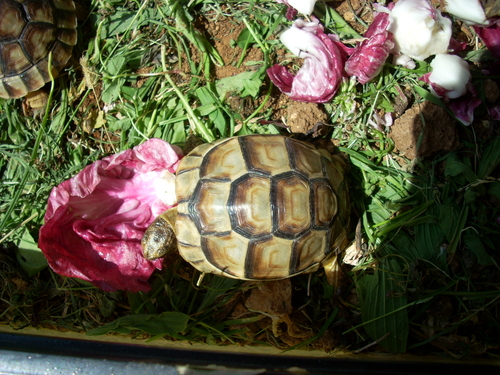DSCN3396.JPG