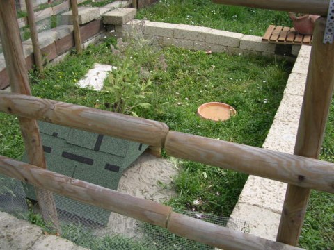 DSCN2111 (480 x 360).jpg