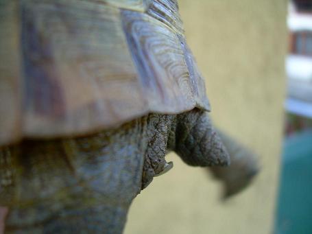 DSCN6174.JPG