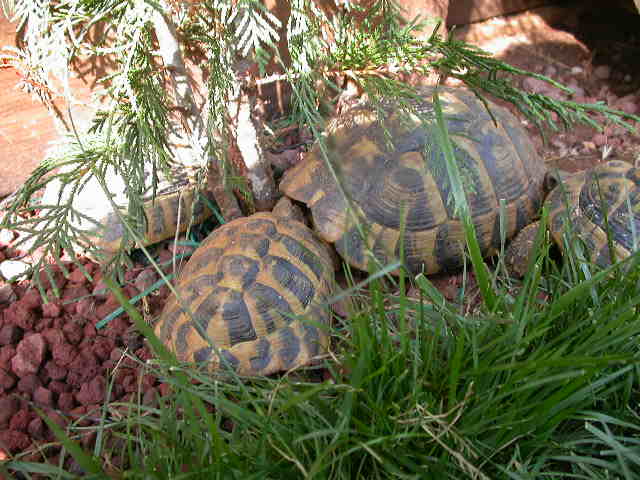 DSCN6139.JPG