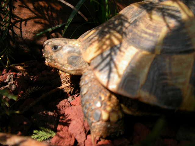 DSCN6140.JPG