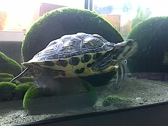 06072011307.jpg