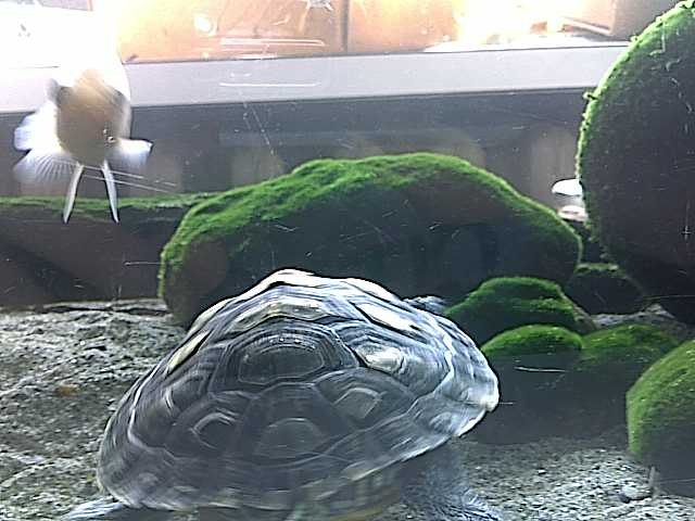 06072011309.jpg
