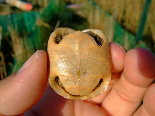 DSCF0825.jpg