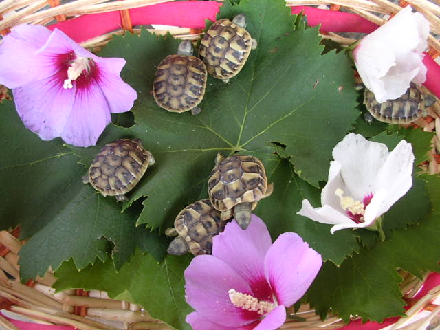 DSCN2143.JPG