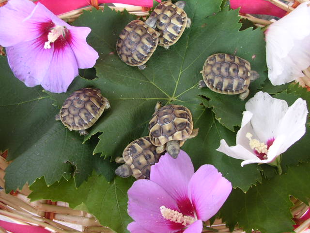 DSCN2144.JPG