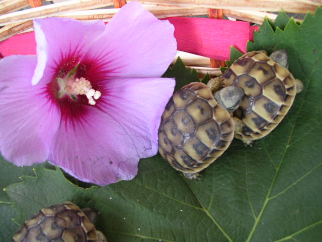 DSCN2145.JPG