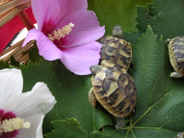 DSCN2146.JPG