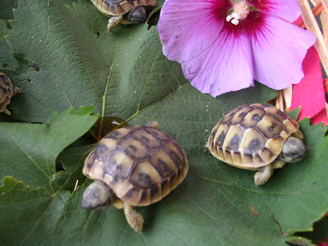 DSCN2147.JPG