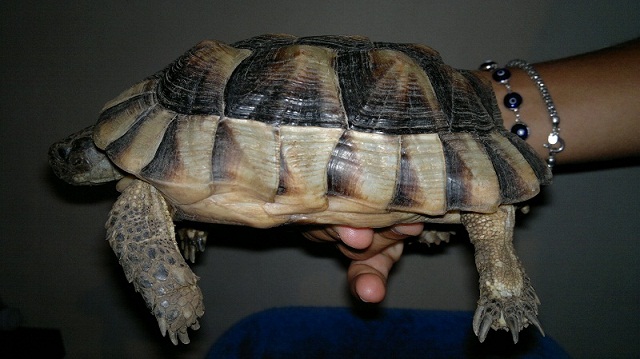 31072011393.jpg