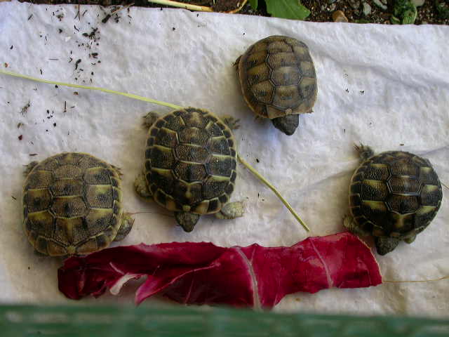 DSCN6304.JPG