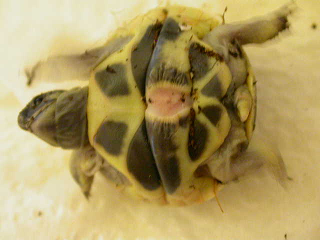 DSCN6298.JPG
