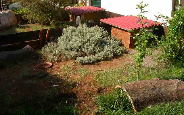 DSCN6380.JPG