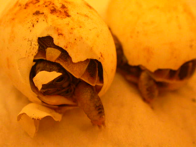 DSCN6390.JPG