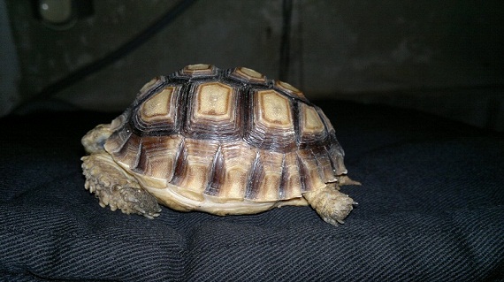 25092011063.jpg