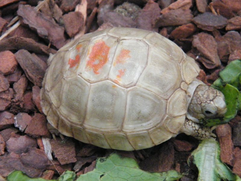 DSCF2483.JPG