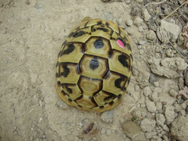 baby 2009.jpg