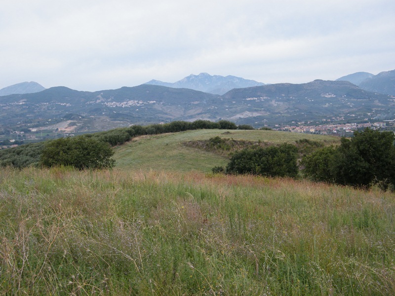 habitat.JPG