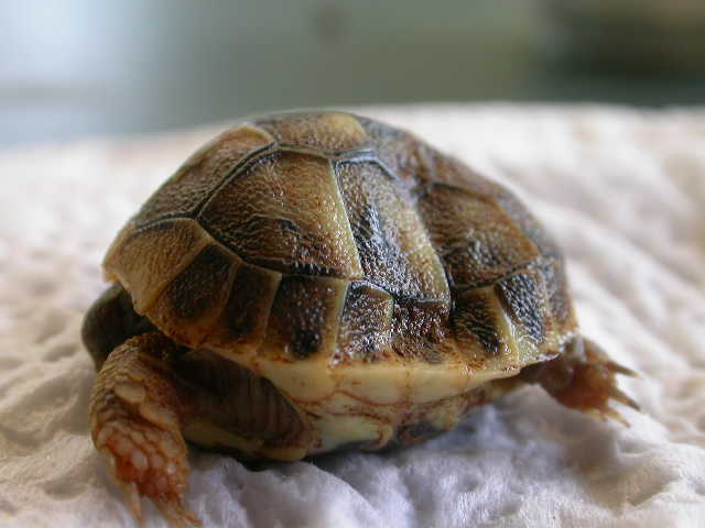 DSCN6513.JPG