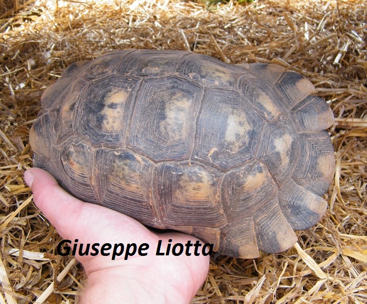 DSCF2914.JPG