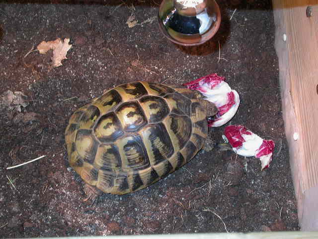 DSCN6547.JPG