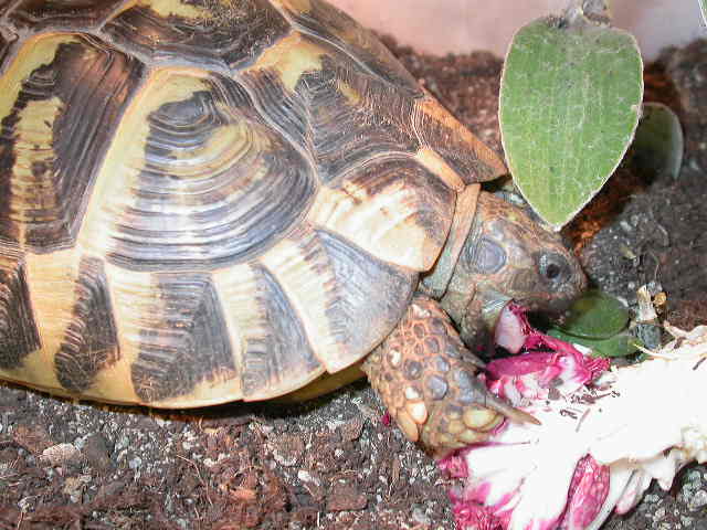 DSCN6561.JPG
