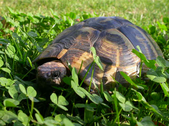 DSCN6577.JPG